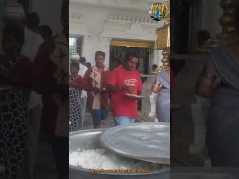 అన్నప్రసాదం Annaprasadam 2025 06 23 #pallakiseva,#annaprasadam,#hindutemple